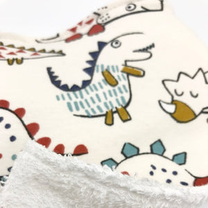 Dribble Bibs