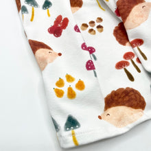 Load image into Gallery viewer, Hedgehog Long Sleeved Dress
