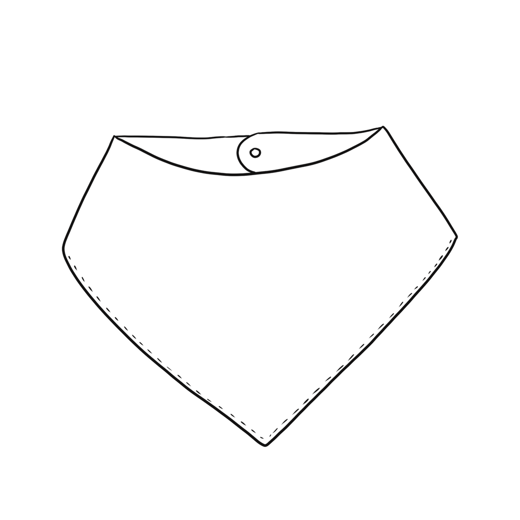 Dribble Bibs