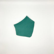 Load image into Gallery viewer, Plain Green Dribble Bib
